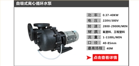 循環(huán)水泵_07 循環(huán)水泵_07