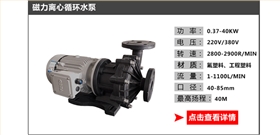 循環(huán)水泵_09 循環(huán)水泵_09