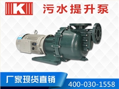 塑料污水提升泵 塑料污水提升泵