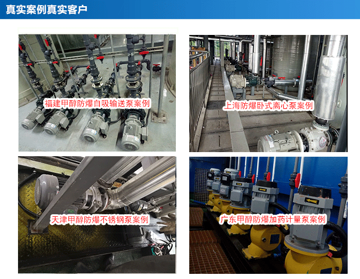 甲醇泵_24 甲醇泵_24
