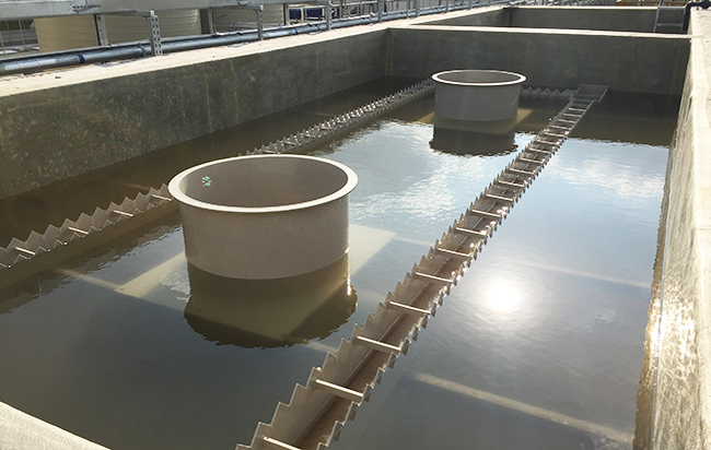 IMG_2065(1) IMG_2065(1)