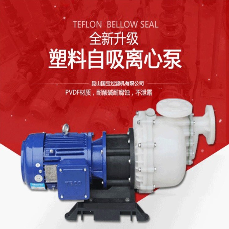 耐腐蝕自吸泵 耐腐蝕自吸泵