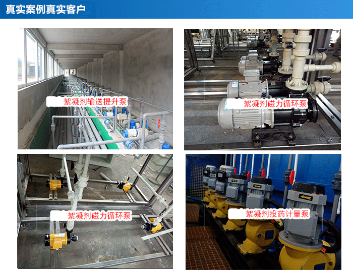 絮凝劑泵_24 絮凝劑泵_24