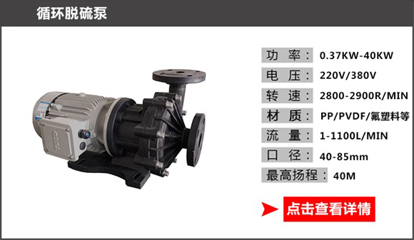 循環(huán)脫硫泵 循環(huán)脫硫泵