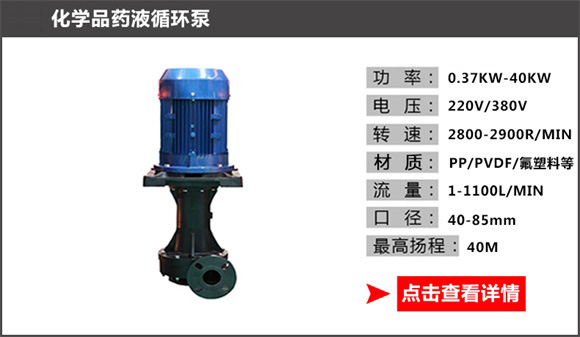 化學(xué)品藥液循環(huán)泵 化學(xué)品藥液循環(huán)泵