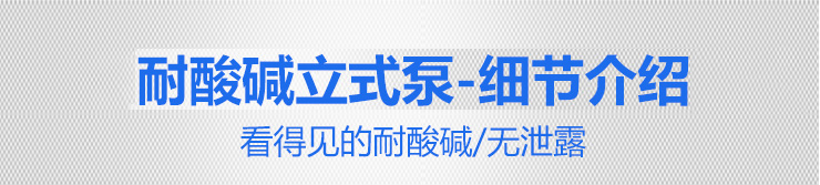 國(guó)寶KP立式泵_08