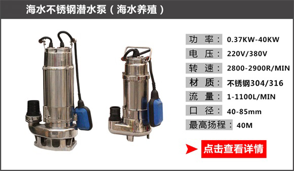 海水不銹鋼潛水泵(海水養(yǎng)殖) 海水不銹鋼潛水泵(海水養(yǎng)殖)